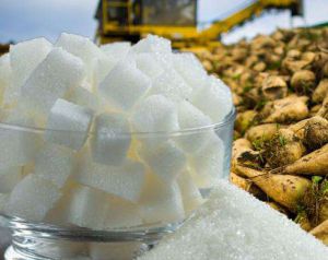 В Україні виробили 1,25 млн тонн цукру